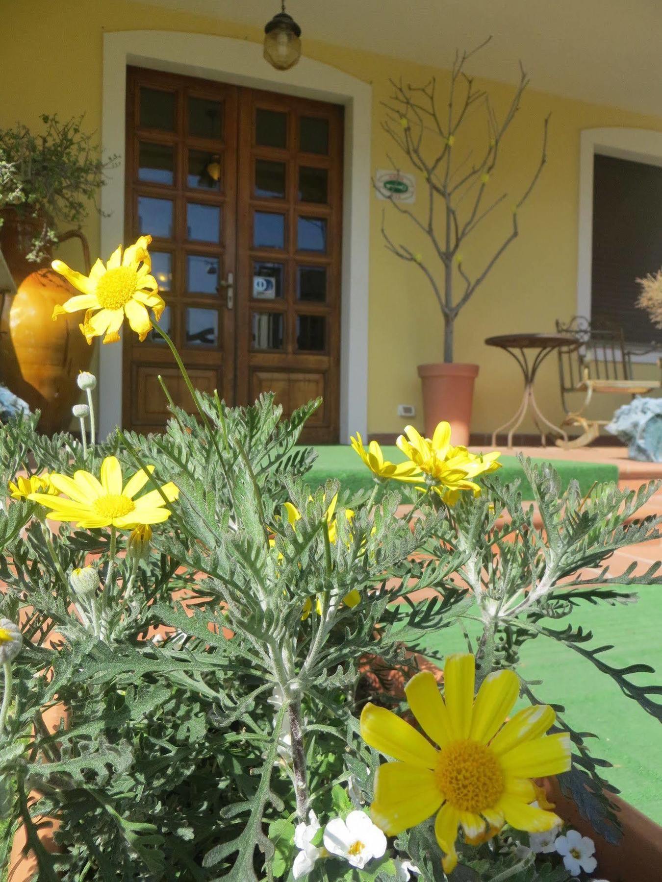 Hotel Girasole Civitanova Marche Exterior foto